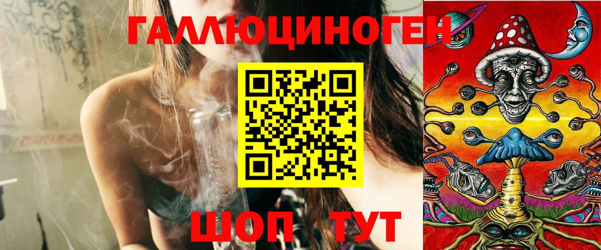 Псилоцибиновые грибы Psilocybine cubensis Славянск-на-Кубани