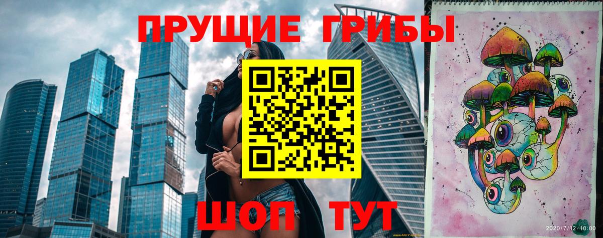 Псилоцибиновые грибы Cubensis  Вход с VPN  Славянск-на-Кубани 